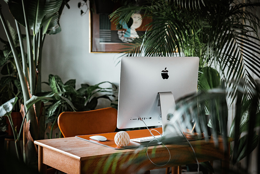 5 Proven Tactics to Rapidly Accelerate Your SaaS Growth
